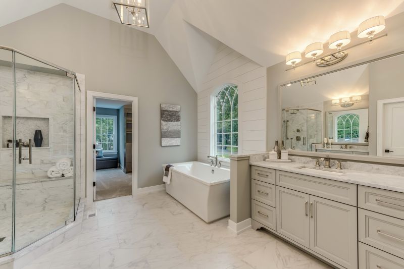 Best Bathroom Conversion Contractors in Eau Claire, WI